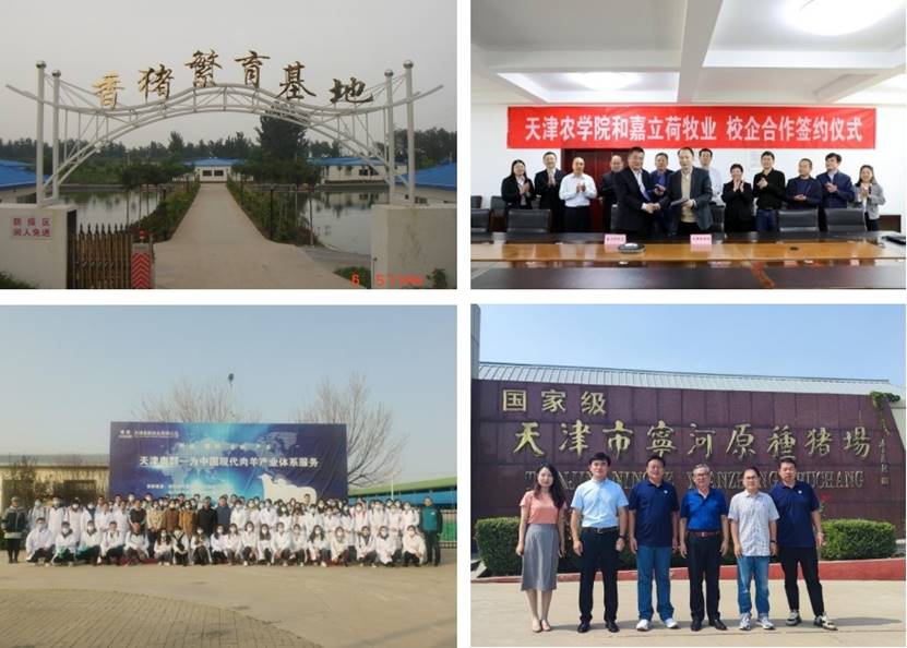 图片13